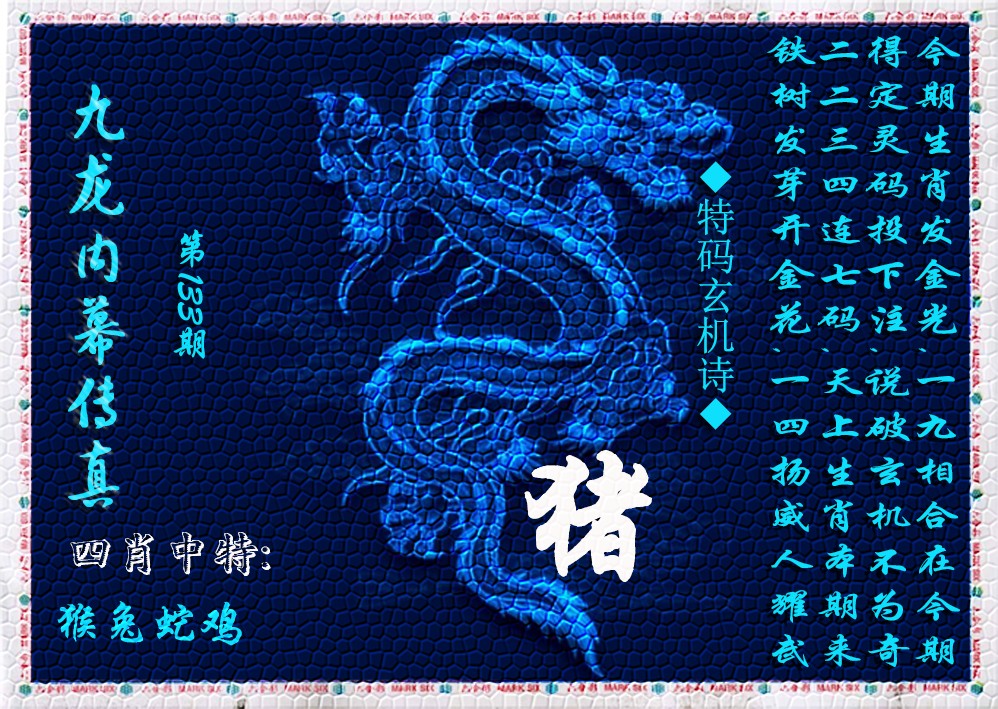 133期九龙内幕传真(新上市)[图]