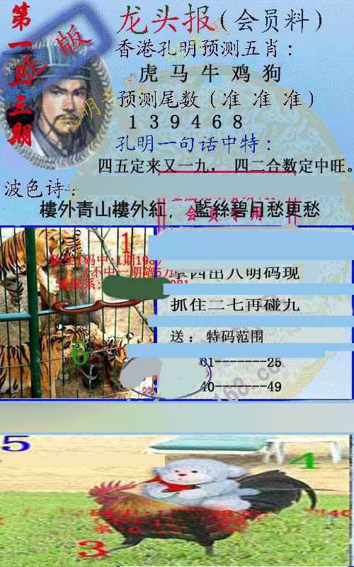 133期龙头报[图]