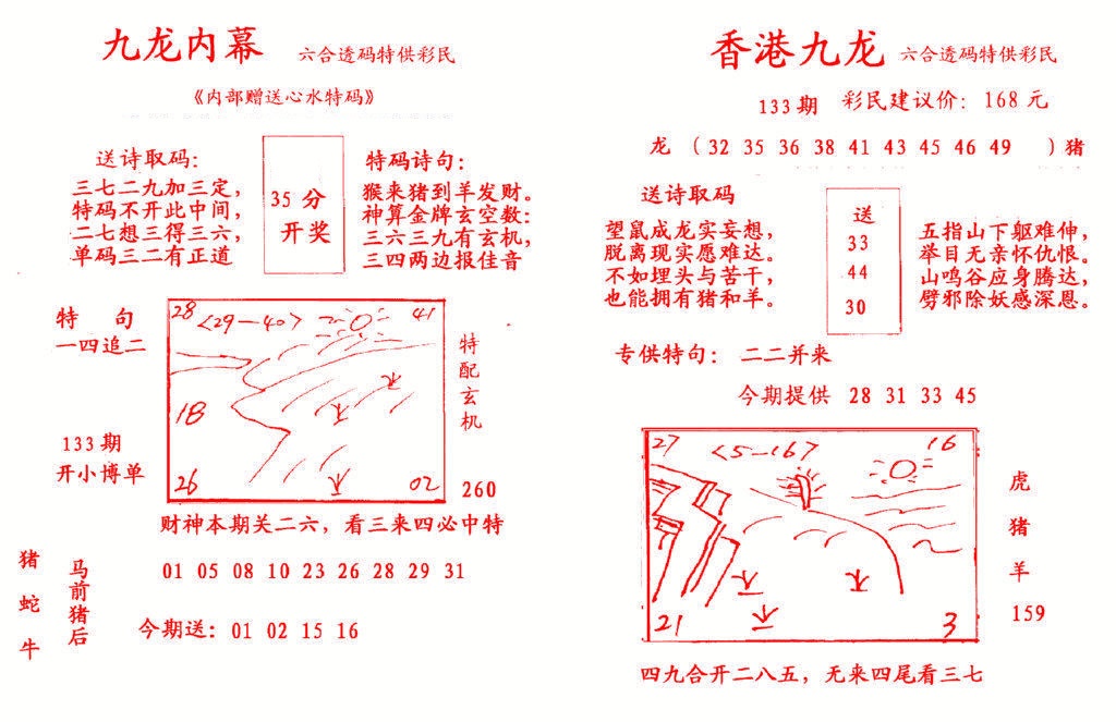 133期九龙内幕[图]