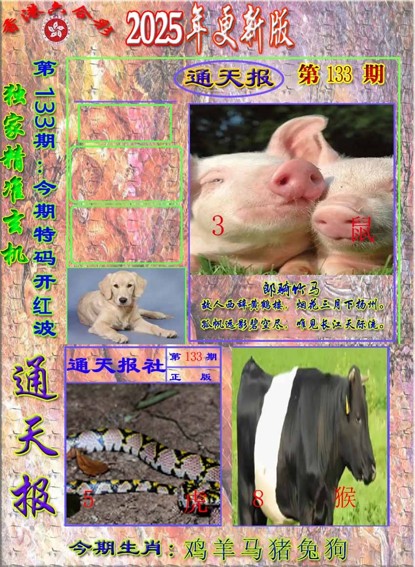 133期新通报[图]