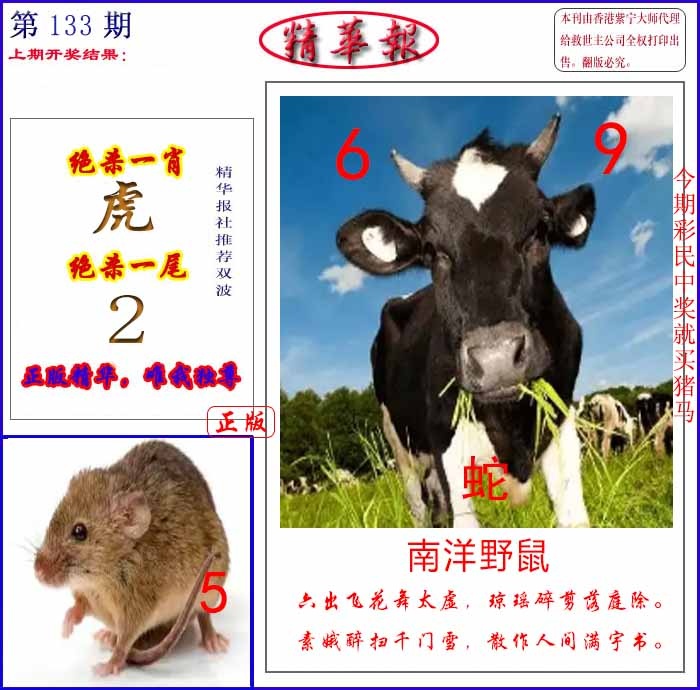 133期新精华报报[图]