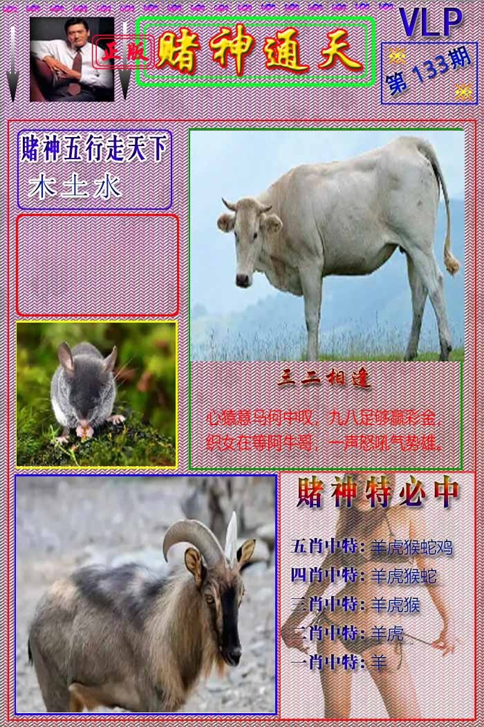 133期赌神通天报[图]