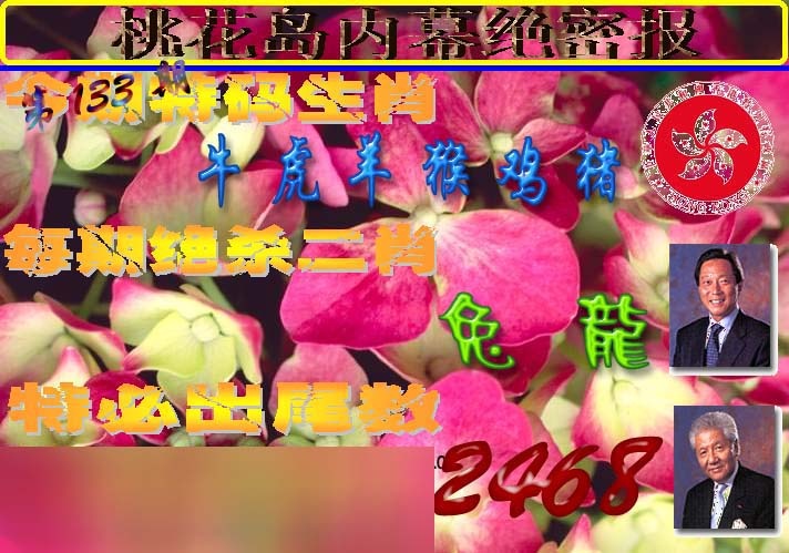 133期桃花岛内幕报[图]
