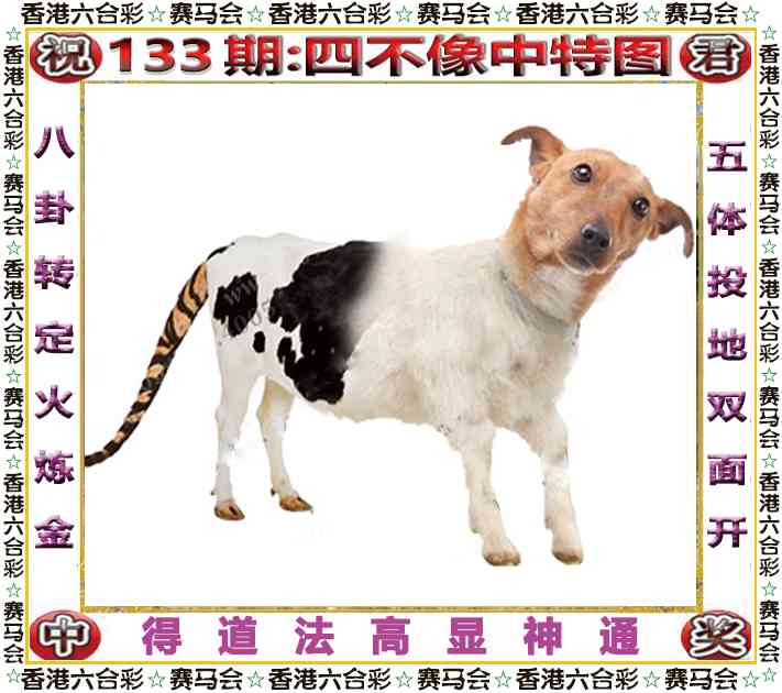133期四不像中特图[图]