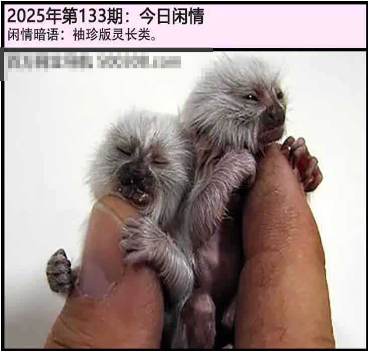 133期另版今日闲情[图]