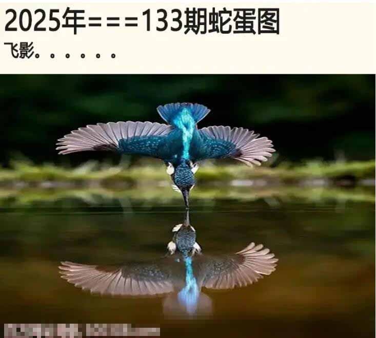 133期另版蛇蛋图[图]